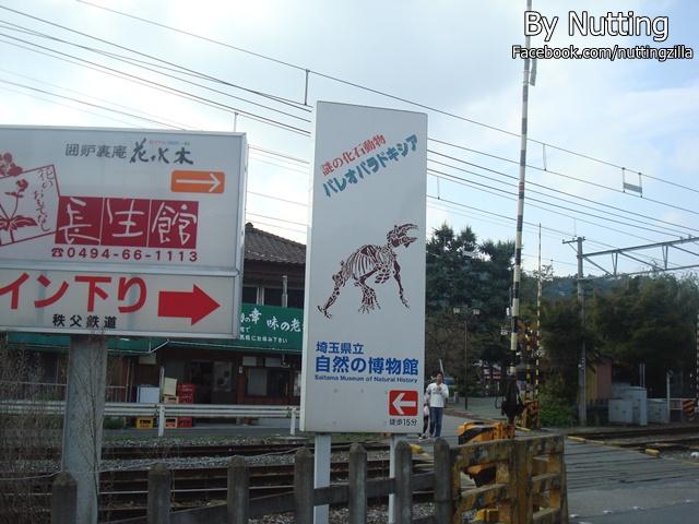 DSC03891.JPG